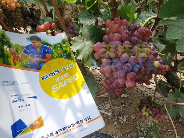 磷酸二氫鉀為什么都說粉劑的好？