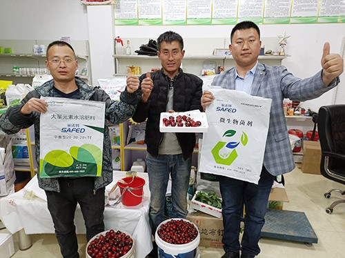 水溶肥哪家好？看完這篇不疑惑！