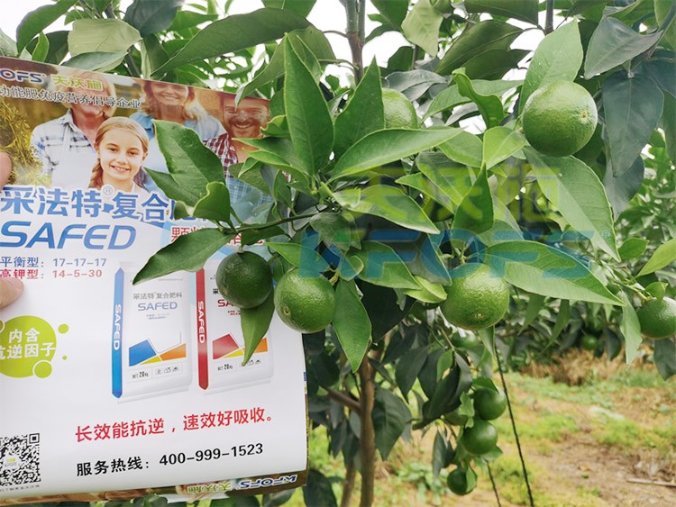 進口水溶肥怎么選？參考這三點就夠了！