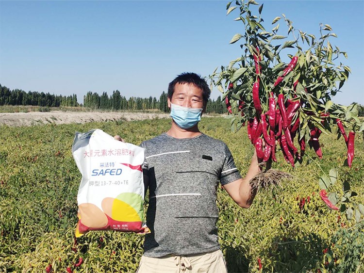 肥料廠家，有經(jīng)驗(yàn)的農(nóng)資人這樣選！