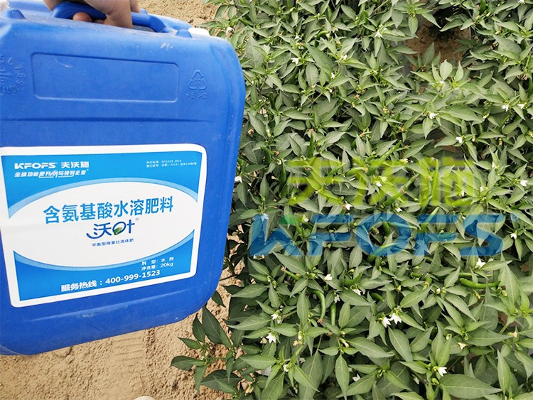 沖施肥怎么去沖施？什么牌子的好？