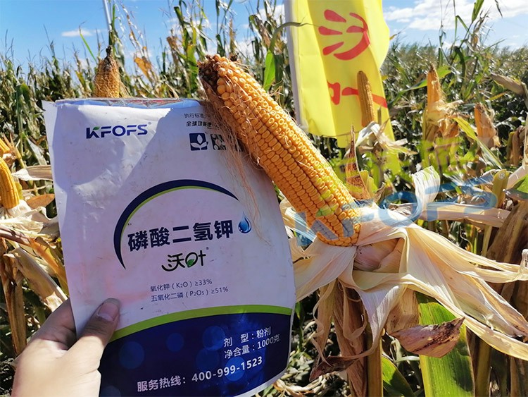進口磷酸二氫鉀哪個品牌好？