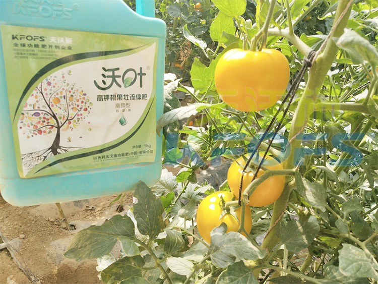 水溶肥的作用，不得不說(shuō)太強(qiáng)大了！