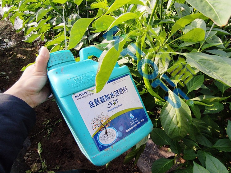 水溶肥的作用，不得不說(shuō)太強(qiáng)大了！