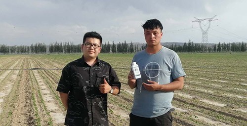 藥害還能恢復(fù)生長(zhǎng)嗎？這篇告訴你！