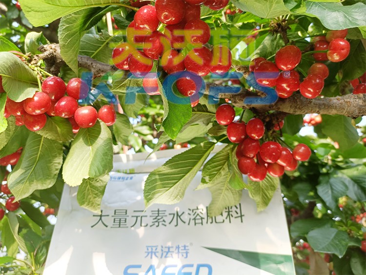 大量元素水溶肥為什么都說進口的好？
