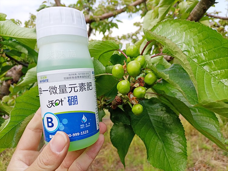 硼肥哪個(gè)品牌的好？這款不要錯(cuò)過(guò)！