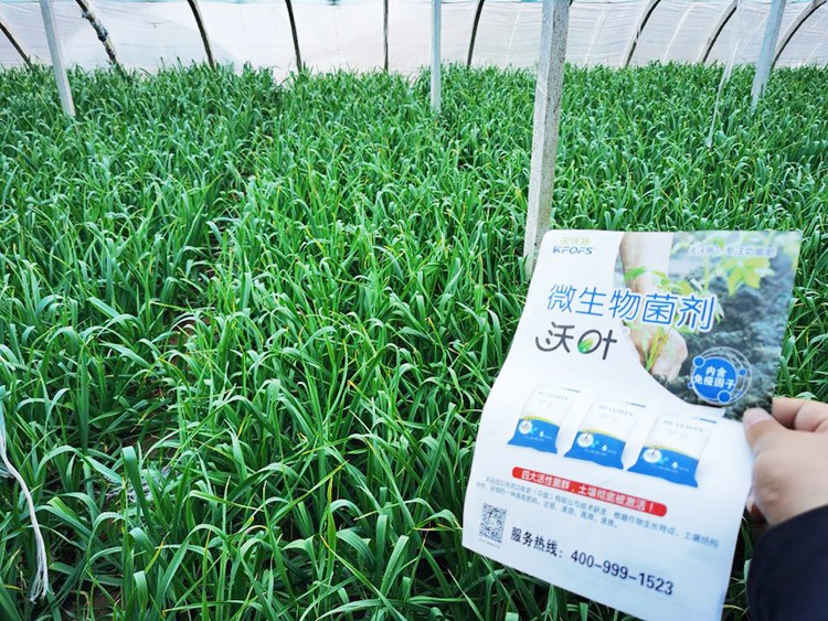 微生物菌劑選它，放心又舒心！