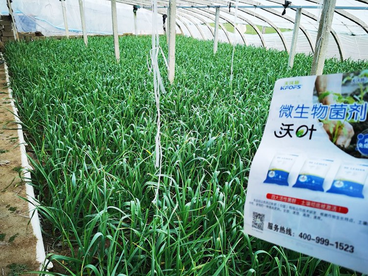 微生物菌劑選它，放心又舒心！