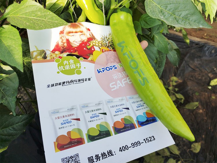進口水溶肥蔬菜上怎么用效果好？
