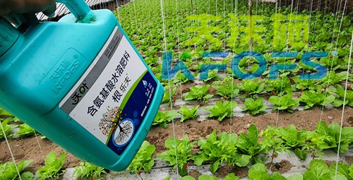 蔬菜用進口水溶肥，有什么突出效果？