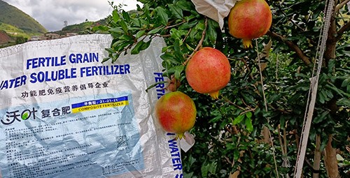 石榴施肥用什么肥料效果好？