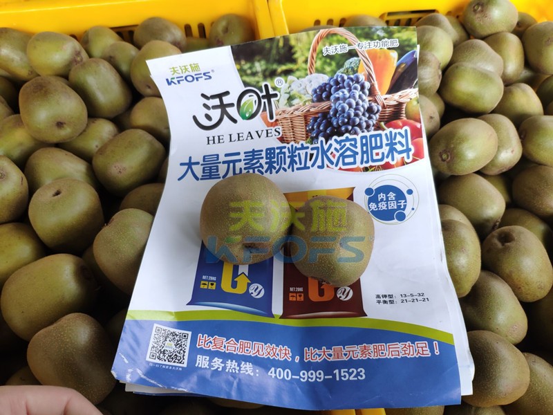 獼猴桃用哪款顆粒水溶肥產(chǎn)量高？