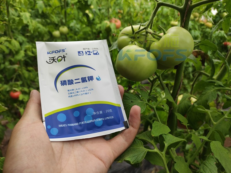 葉面肥磷酸二氫鉀，竟然這么好用！