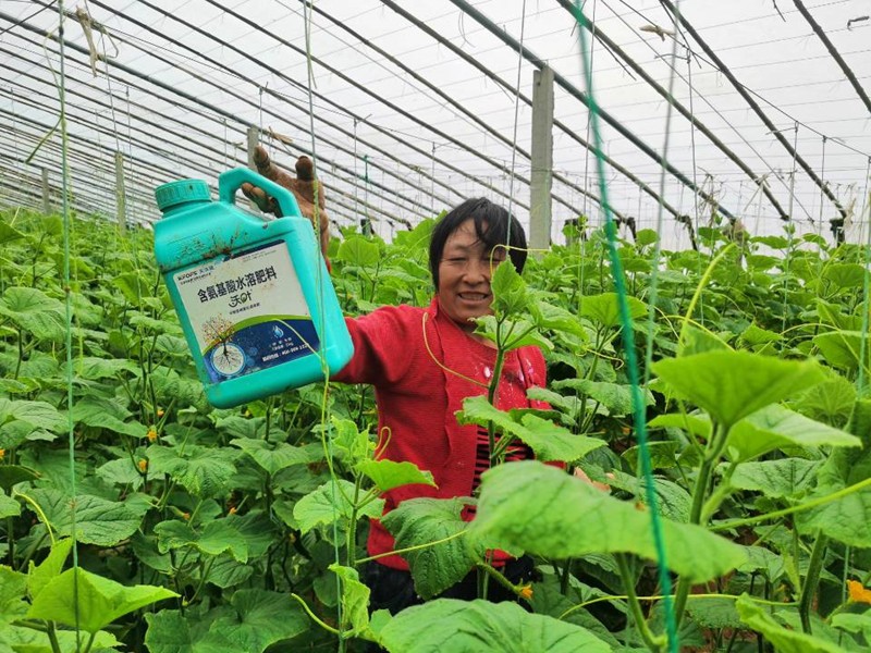 蔬菜沖施肥怕凍嗎？