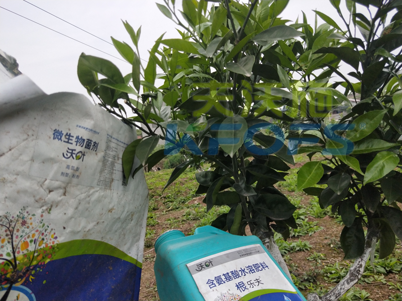 春季果樹(shù)用什么肥料好？看看您用對(duì)了嗎？