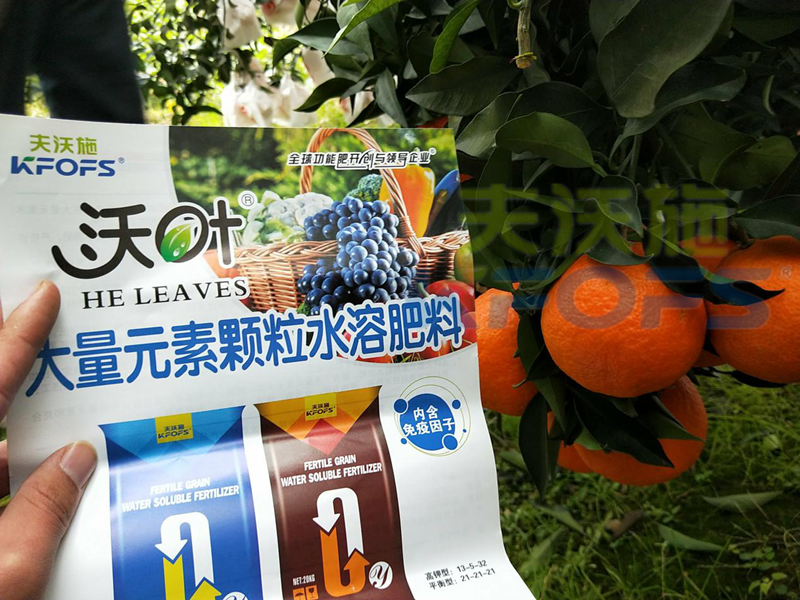 柑橘轉(zhuǎn)色期水溶肥這樣用！