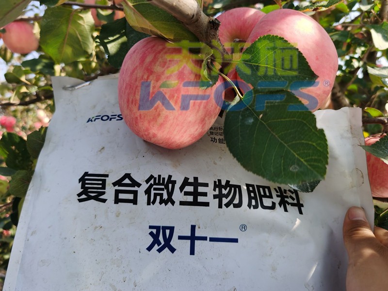 微生物肥料-蘋果用雙十一微生物肥料.jpg