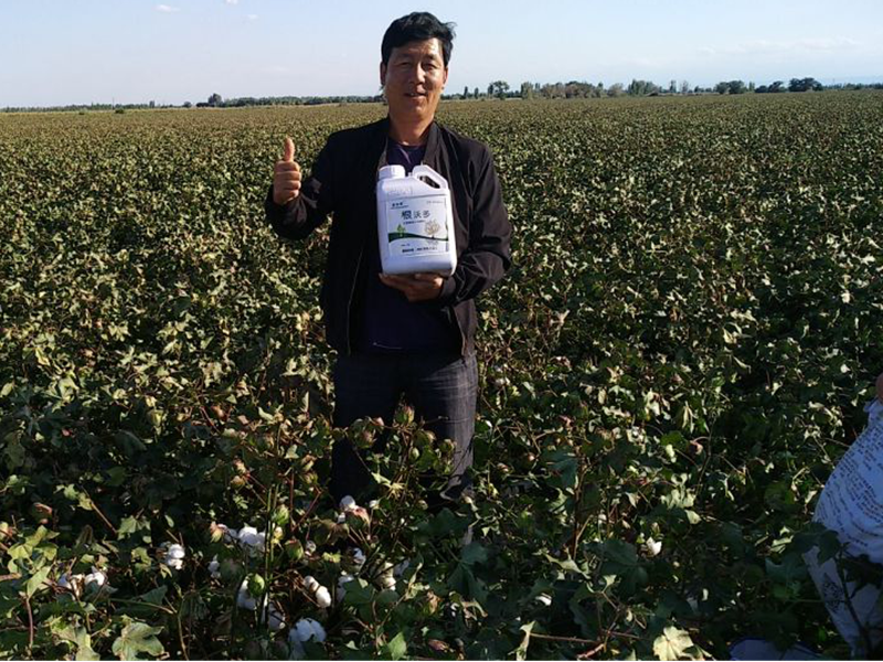 采法特水溶肥效果怎么樣？