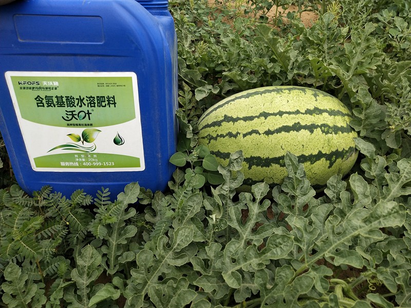 教你挑選一款有核心競爭力的水溶肥品牌！