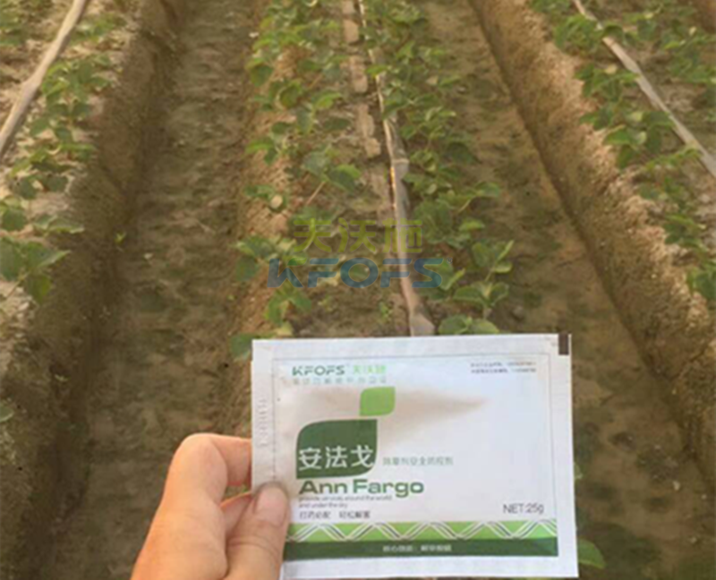 除草劑厲害是哪種？1.png