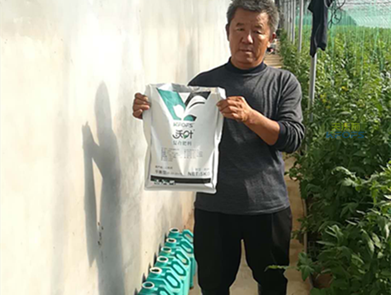 復(fù)合肥料哪種好？