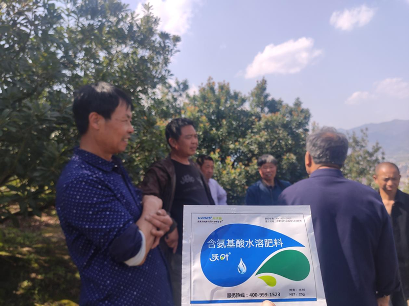 楊梅噴什么水溶肥好？