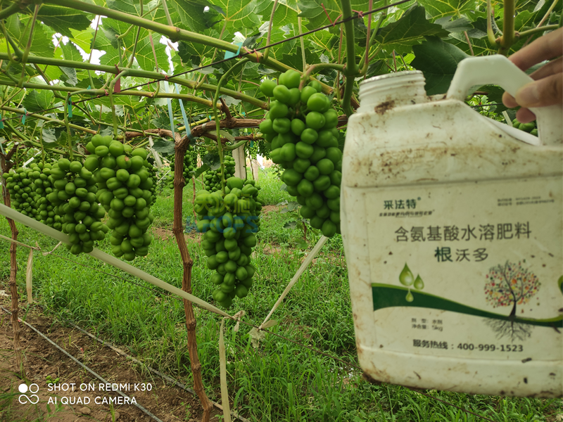 水溶肥怎么選？夫沃施告訴你這幾點