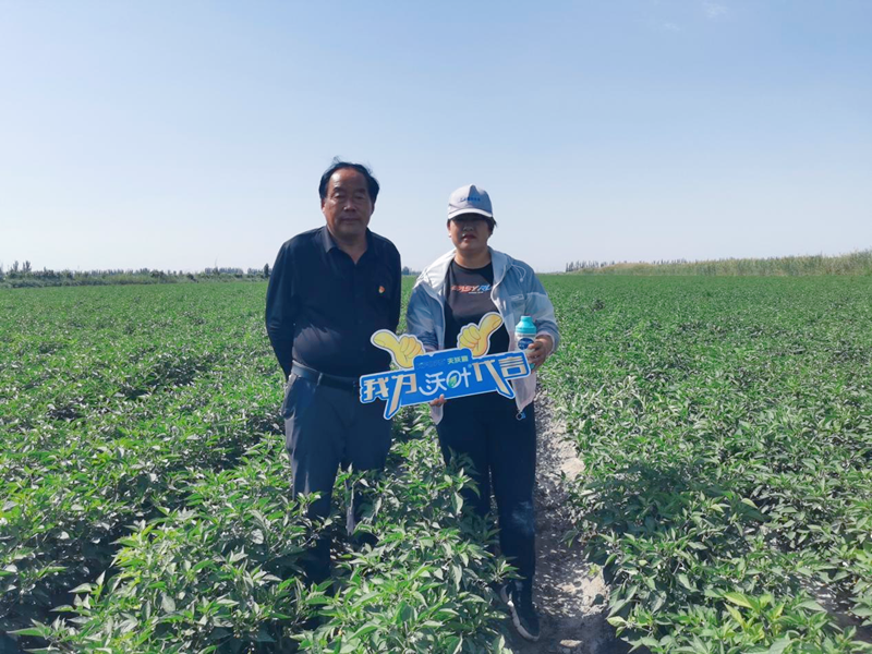 辣椒管理與施肥技術-沃葉用戶見證.png