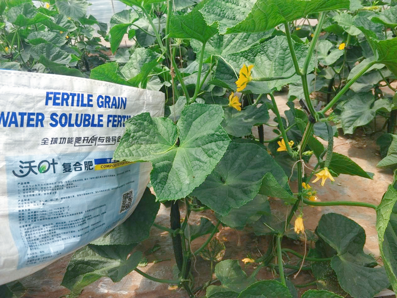 顆粒水溶肥有什么特點？