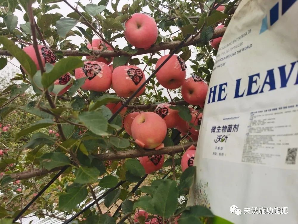 什么肥料能讓土壤變松？