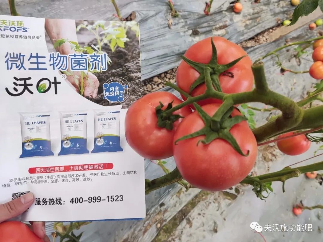 微生物菌劑選哪家？
