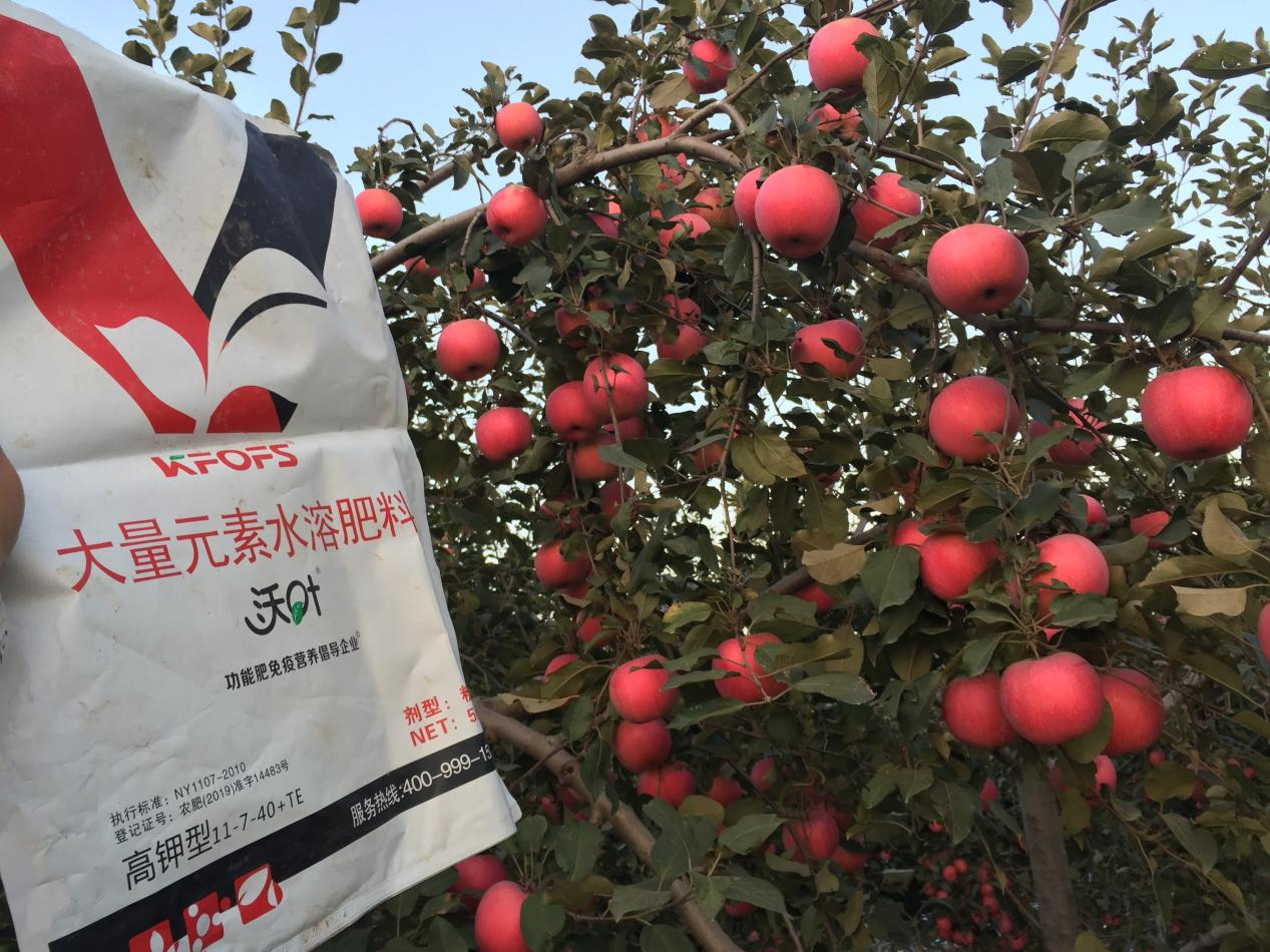 水溶肥哪家好？李大哥告訴你