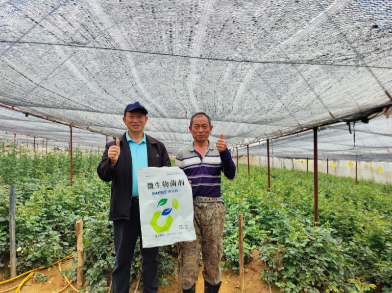 玫瑰花施肥施什么肥料？