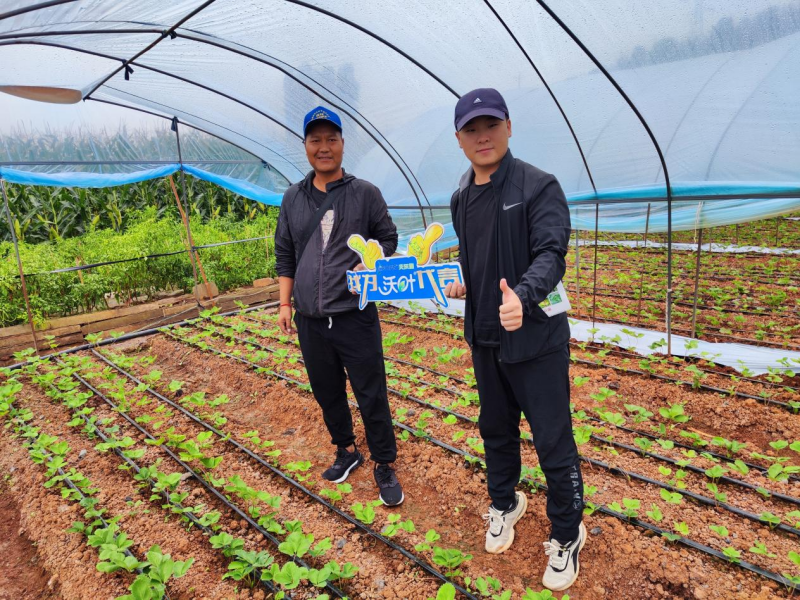 進(jìn)口水溶肥-草莓沃葉用戶見證.png
