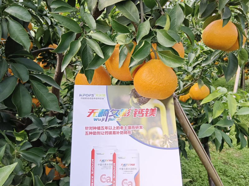 果樹(shù)秋施基肥-愛(ài)媛用無(wú)畸久彩鈣鎂效果.png