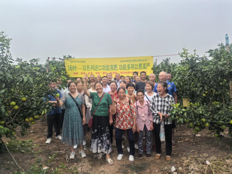 水溶肥-夫沃施功能水溶肥柑橘觀摩會.png