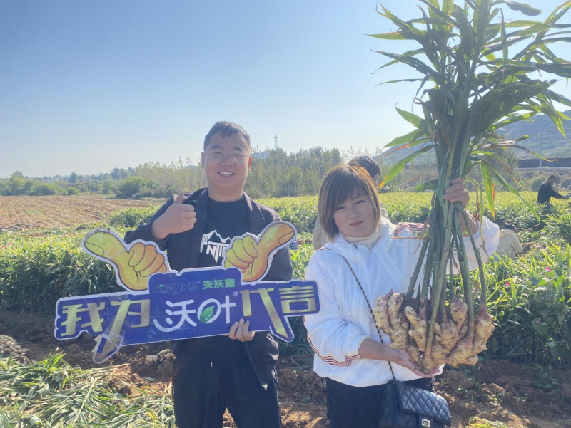 魚(yú)蛋白水溶肥-河北大姜用戶見(jiàn)證.png