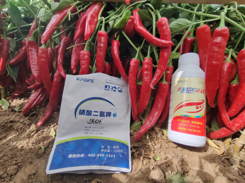 磷酸二氫鉀是葉面肥嗎-沃葉磷酸二氫鉀.png